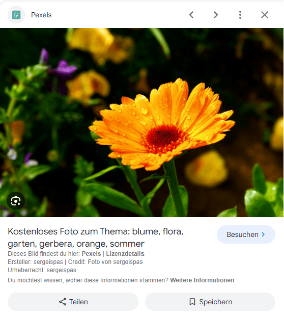 google bildersuche blume lizenz min