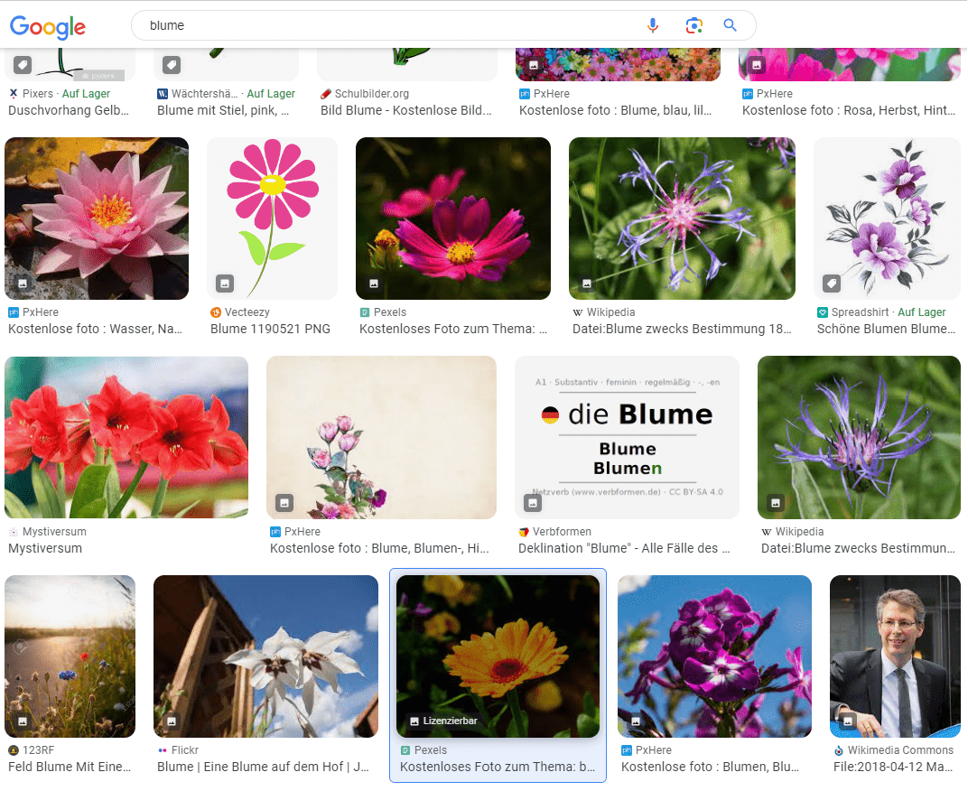 google bildersuche blume min